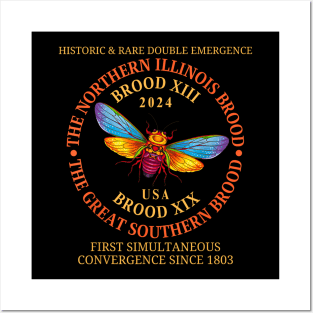 Cicada Brood XIII Brood XIX 2024 Emergence Convergence Posters and Art